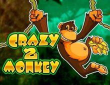Crazy Monkey 2